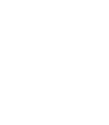 plane Riyadh Transport Services